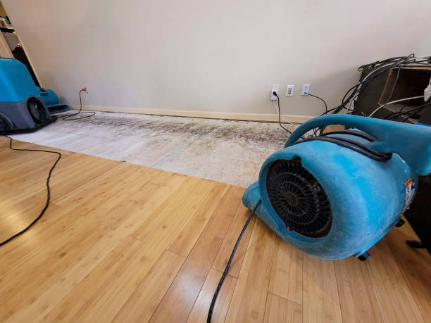 Professional Ceiling Water Damage Repair technician working in Adairsville, GA